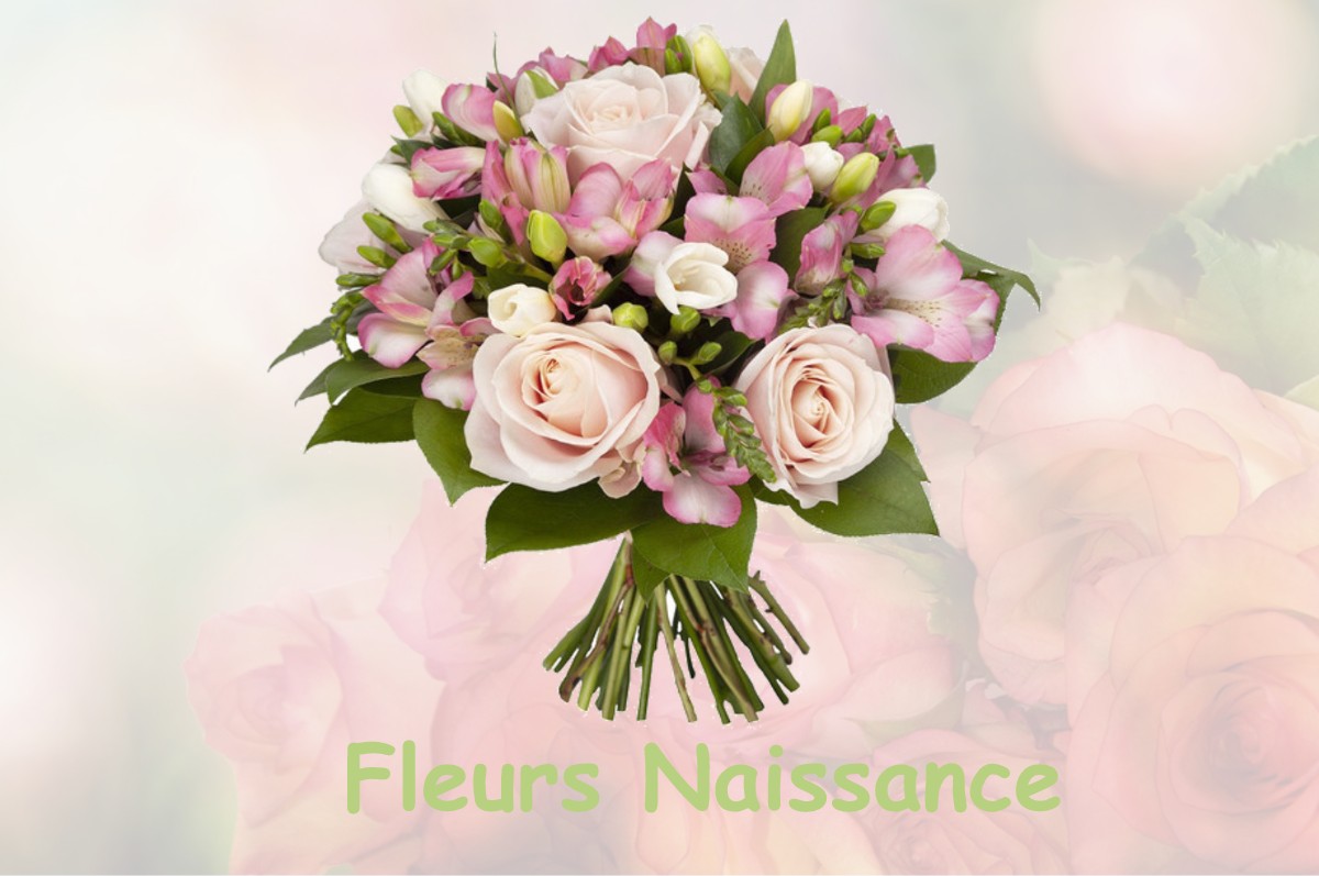 fleurs naissance RIEUX-DE-PELLEPORT