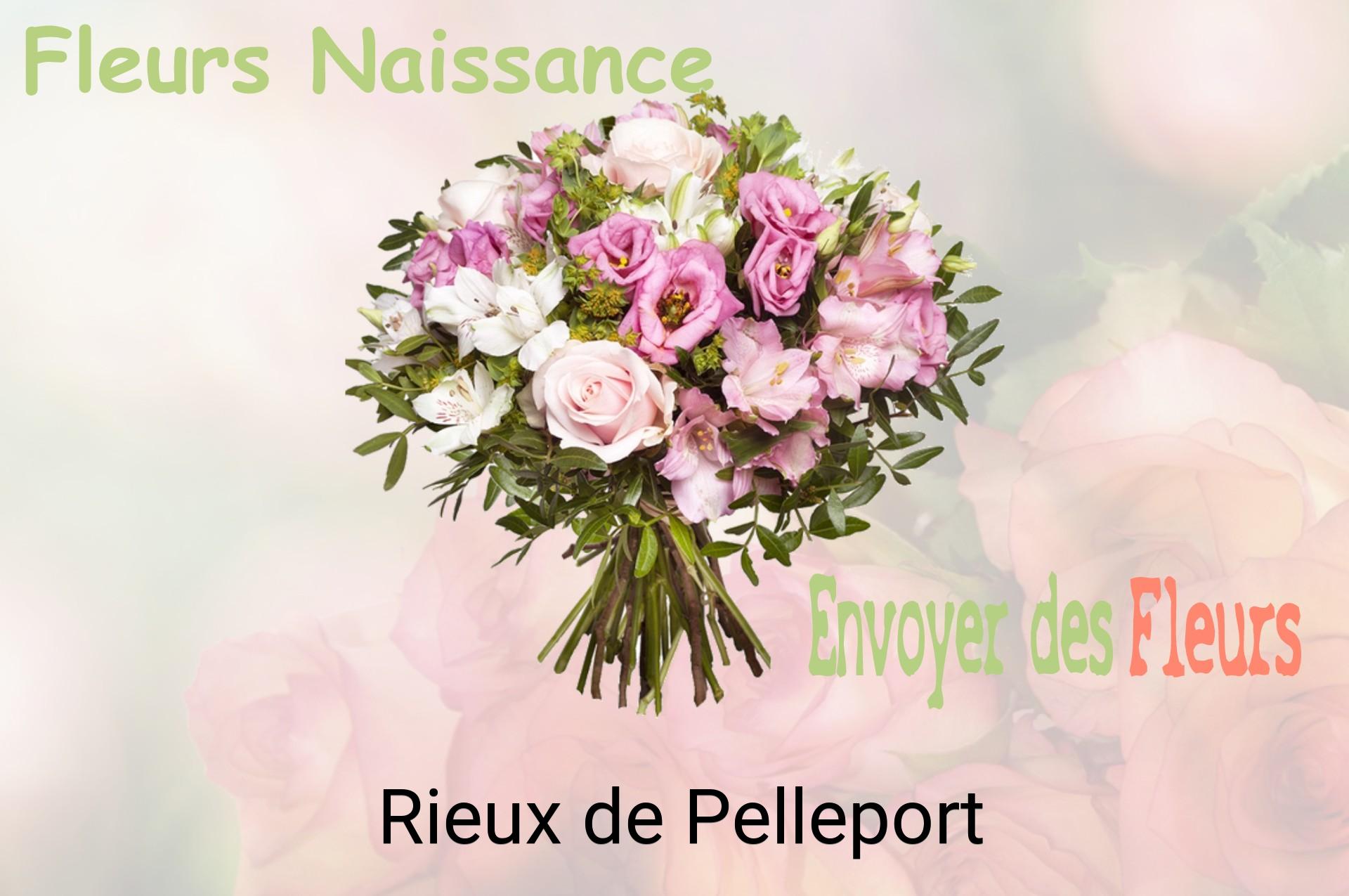 Bouquet de fleurs de naissance livré à Rieux-de-Pelleport